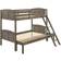 Coaster Company Flynn Bunk Bed