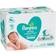 Pampers Baby Wipes Sensitive Perfume Free 1008pcs