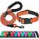 Reflective Dog Collar+Leash Medium