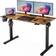 Azonanor Stand up with Splice Board Writing Desk 24x48"