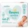 Pampers Baby Sensitive Wipes 168pcs