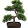 Europalms Bonsai Pine Kunstig plante