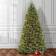 National Tree Company Dunhill Christmas Tree 120"