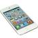 Apple iPod Touch 16GB (4th Generation)