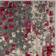 Safavieh Monaco Gray, Red 96x120"