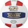 Tachikara SV-5W Gold Competition Premium Leather Volleyball