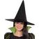 Rubies Child Wicked Witch of the West Costume