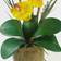 Nearly Natural Phalaenopsis Silk Orchid Flower Arrangement Yellow Artificial Plant