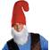 Disguise Plus Size Papa Gnome Costume