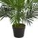 Nearly Natural Paradise Artificial Plant