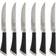 Chicago Cutlery Fusion 6-piece Steak Knife Set