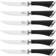 Chicago Cutlery Fusion 6-piece Steak Knife Set