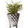 Lene Bjerre Precious Medium Flower Pot ∅4.724"