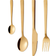 Aida Raw Cutlery Set 24