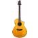 Breedlove Performer Pro Concert Acoustic-Electric Guitar Aged Toner