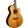 Breedlove Performer Pro Concert Acoustic-Electric Guitar Aged Toner