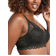 Bali Lace Desire Wirefree Bra - Black