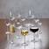 Villeroy & Boch Ovid Champagneglass 25cl 4st