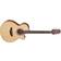 Takamine GF15CE