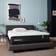 Tempur-Pedic ProAdapt Polyether Mattress