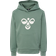 Hummel Cuatro Hoodie - Laurel Wreath (213850-6575)