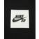 Nike SB Fleece Skate Hoodie - Black