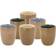 Bitz Becher Wood 6er Espressotasse