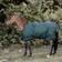 Kentucky Horsewear All Weather Turnout 160g Dunkelgrün