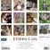 Willow Creek Press Just Tabby Cats 2024 Wall Calendar