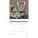 Willow Creek Press Just Tabby Cats 2024 Wall Calendar