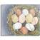 Stupell Industries Bird Nest Eggs Nature Painting Grey Wall Decor 20x16"