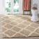 Safavieh Dallas Shag Beige 35.8x59.8"