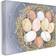 Stupell Industries Bird Nest Eggs Nature Painting Grey Wall Decor 20x16"