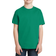 Hanes Boy's 4-18 Tagless Short Sleeve T-shirt - Kelly Green