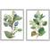 Stupell Soft Eucalyptus Plant Blue Green Ombre Leaves Grey Framed Art 11x14" 2