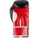 Benlee Carlos Boxing Gloves 14oz