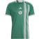 Adidas Men's Green Algeria National Team 2022/23 Away Replica Jersey
