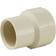 Apollo 3/4 in. 3/4 in. CPVC CTS x FNPT Solvent Weld Adapter, White