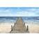 Marmont Hill Long Pier to the Ocean Framed Art 20x30"