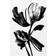 Pelcasa Black Flower Poster 21x30cm