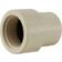 Apollo 3/4 in. 3/4 in. CPVC CTS x FNPT Solvent Weld Adapter, White