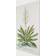 Vintage botany illustration Yucca White Wanddeko 40x60cm