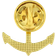 Pinmart Anchor Pin - Gold