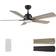 Smart 52-inch Indoor/Outdoor Ceiling Fan