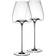 Zieher Vision Intense White Wine Glass, Red Wine Glass 21.6fl oz 2