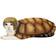 Fun Turtle Pet Dog Costume