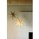 Watt & Veke Stella beige Advent Star 23.6"