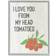 Stupell Clever Love You Tomatoes Farm Sign Grey Framed Art 24x24"