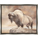 Stupell Wildlife Bison Forest Nature Scenery Grey Framed Art 21x17"