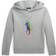 Polo Ralph Lauren Big Boy's Pony Fleece Hoodie - Andover Heather